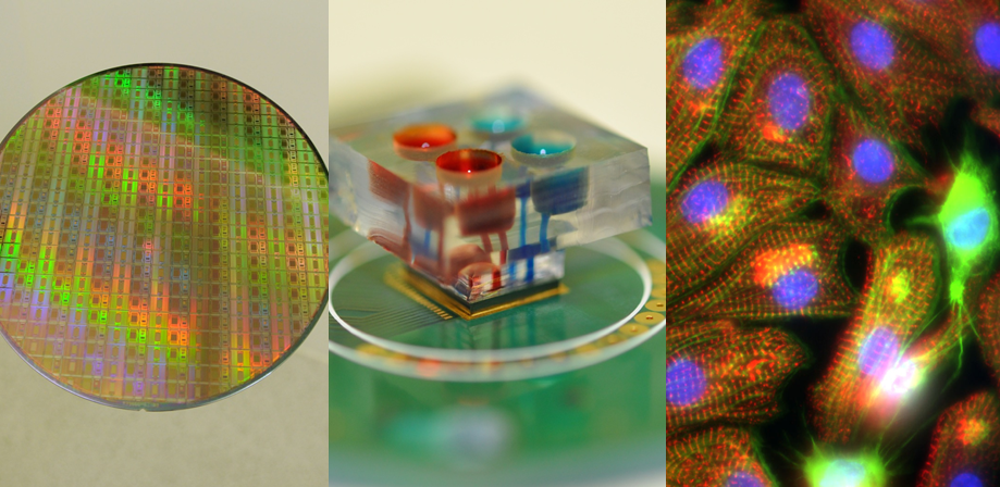 Enlarged view: CMOS microelectronics, microfluidics, and heart cells on a chip