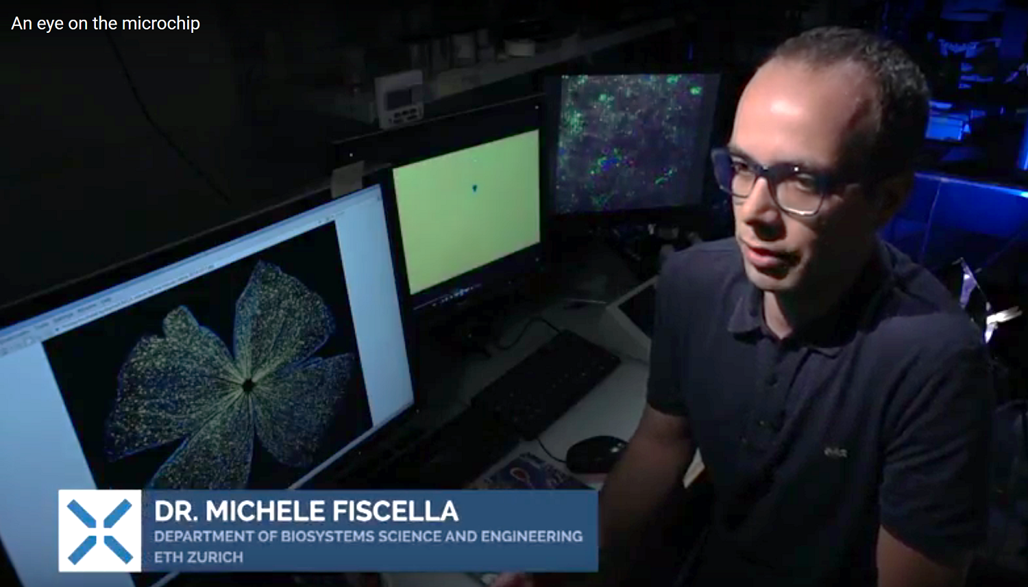Enlarged view: Image of Michele Fiscellab
