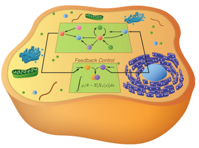 cell control system
