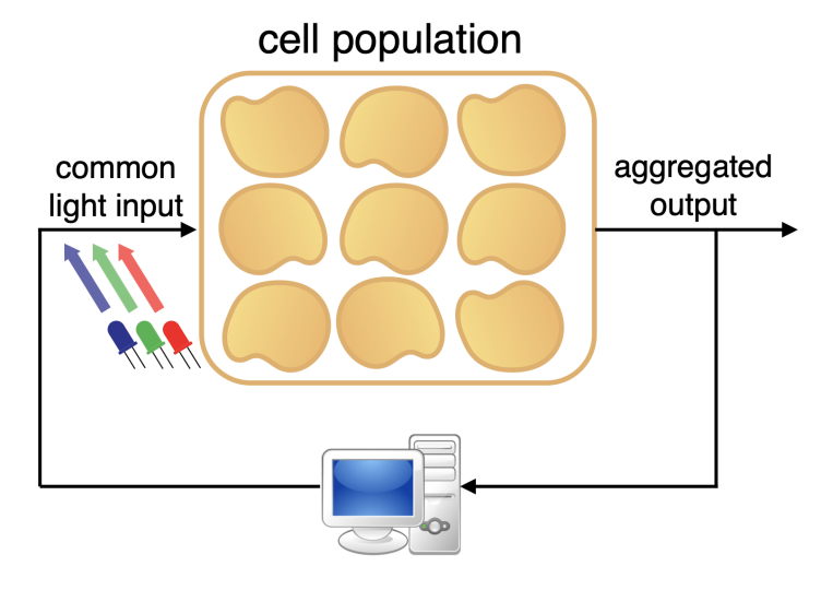 Enlarged view: Computer control of cell populations