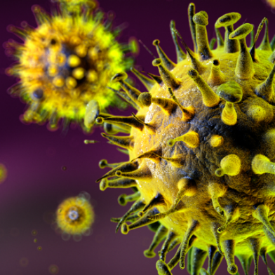 Flu viruses (Photo: iStock/Bjorn Meyer)